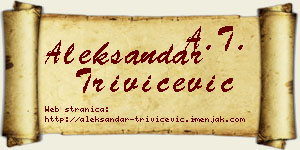 Aleksandar Trivičević vizit kartica